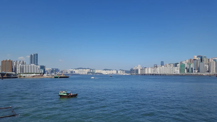 999DA53D5C946DEA11F55B