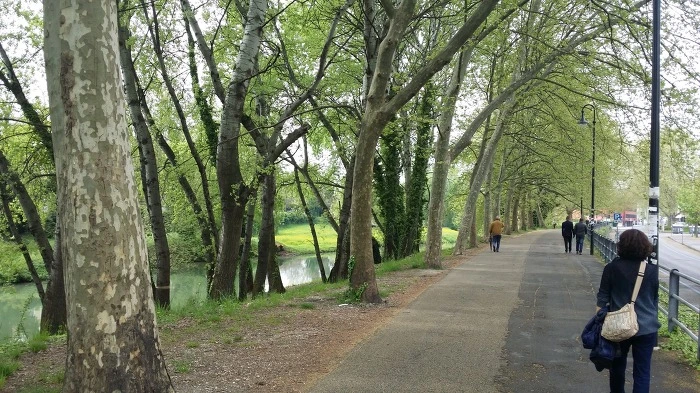 2579F53A5784B38108A719