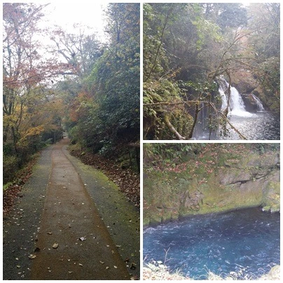 241F064457C7DC490B947B