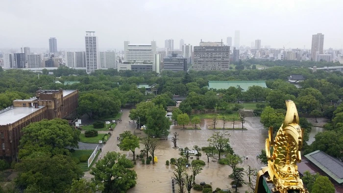 9909E83359AE5FEF2C7E56