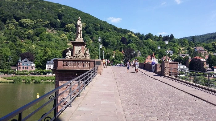 247C5A365969E2ED2E68D2