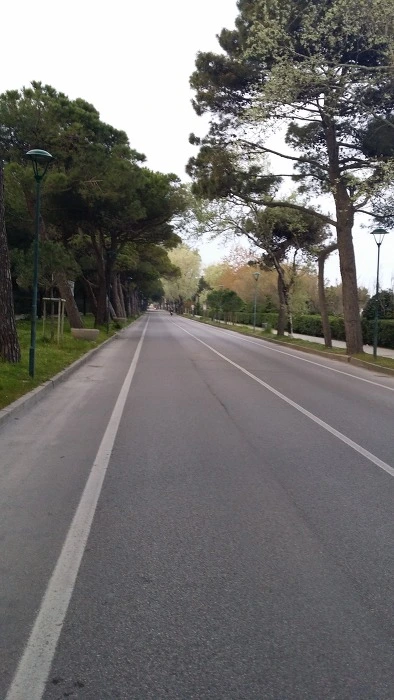 21725336575FBCD41FE677