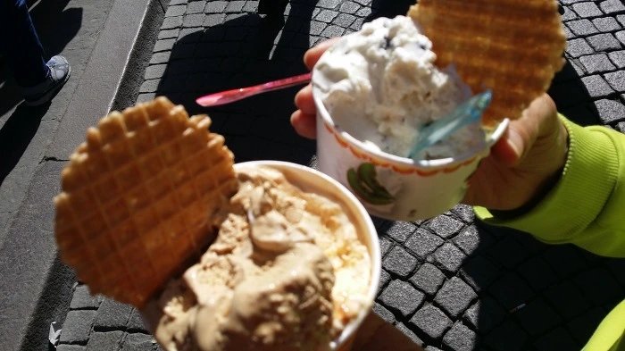 2401F43557302F29139066