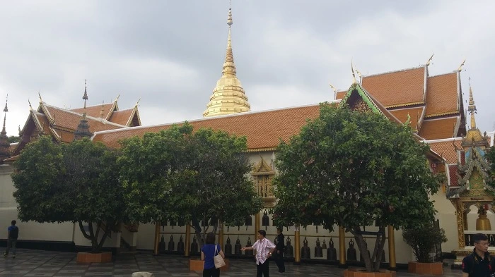 2438F1395901D08C3693DE