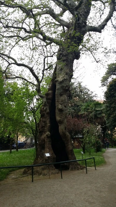 2475D7425784C4A825BA5E