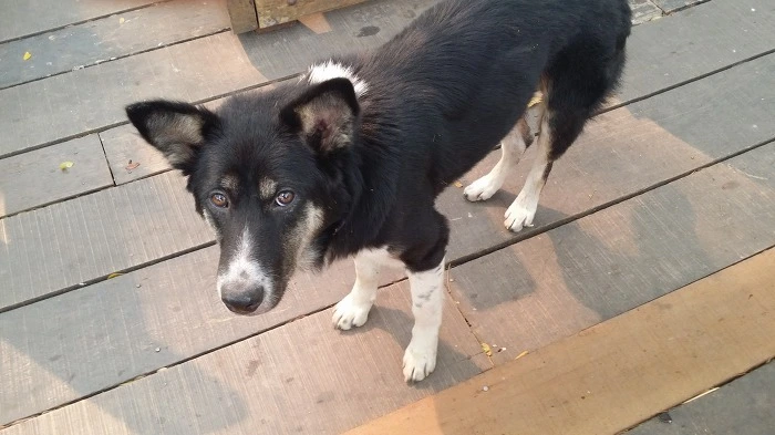 2643CF3958AC40790B57DE