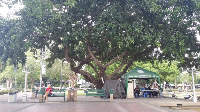 216CE94C582031172EF5E2