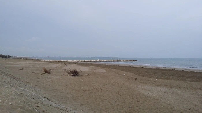 2263B836575FBBAC279BCF