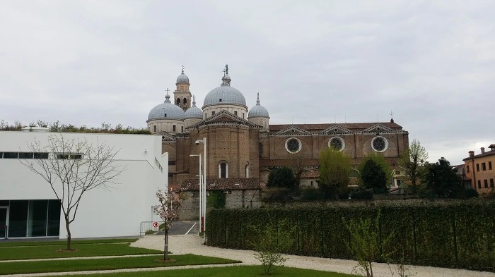 267DBA425784C4A2061559