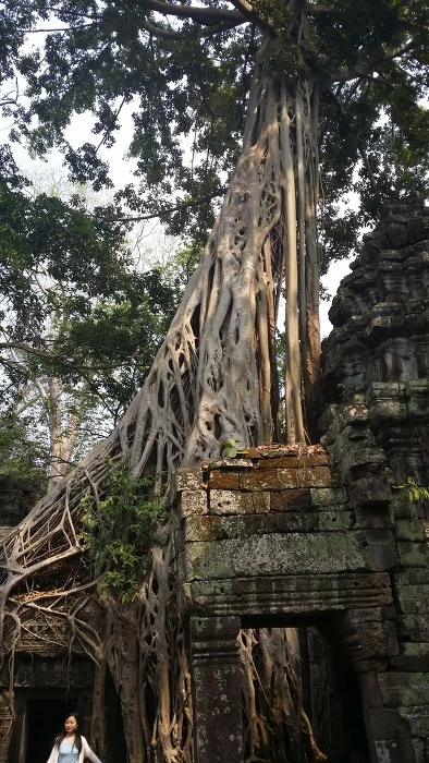 213E76465858CDFB293001