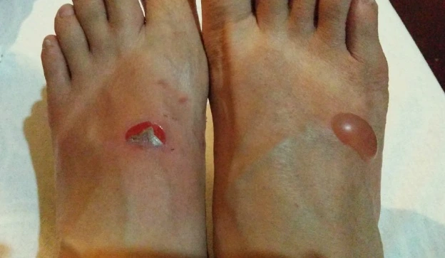 2631B040586C89F835DDD5