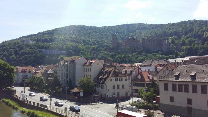 240CD1365969E2F40B285E