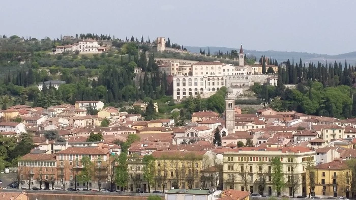 234A79455784C74C310379