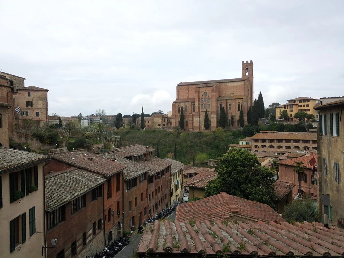 247D1F335742B2DD0B1F4C