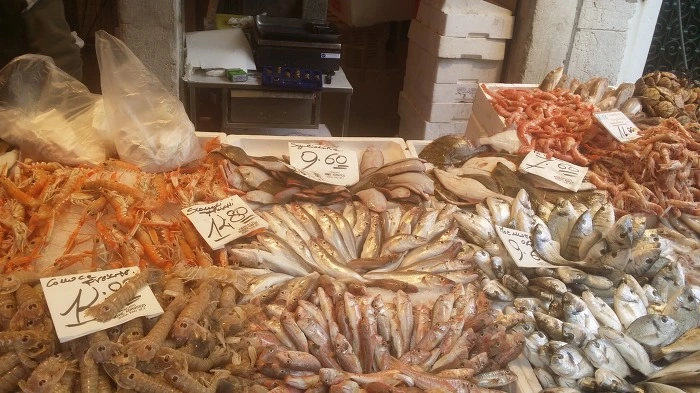 232E5444575FC0E91F12B2