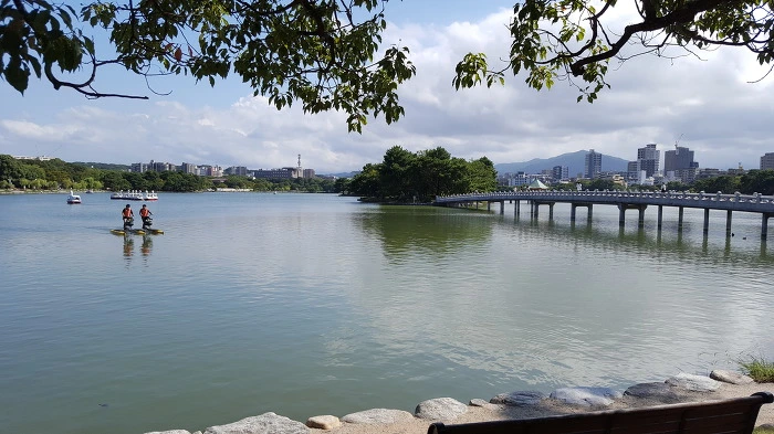 9990303C5B35DD9A0C0B6C