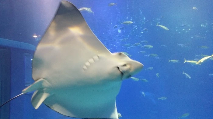 9920DD3359AE673E3046EE