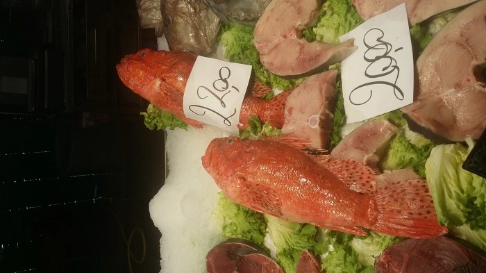 21234A44575FC0EE2D84E6