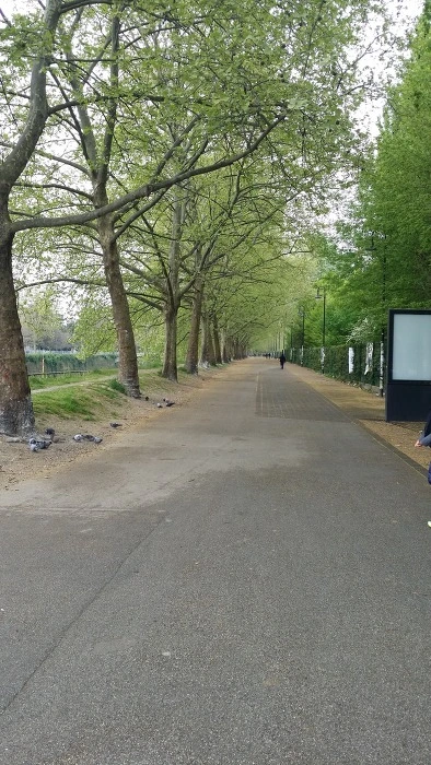 2322133A5784B37C19529B