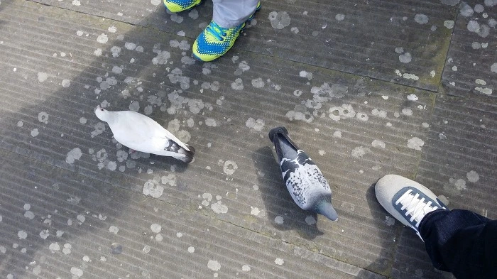 212F4B4C5742AB1D2BF485