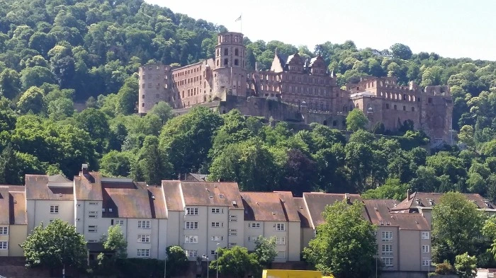 210257365969E2F82ED956