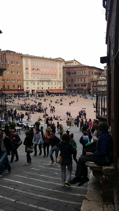 260BBD3A5742B4F81E7336