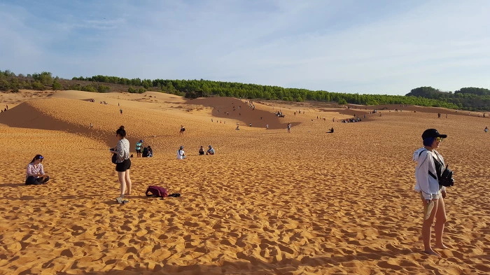 99AC87335AB9F9372BCDD3