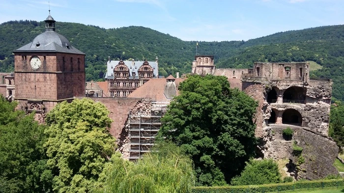 221BA4495969E30612FDC6