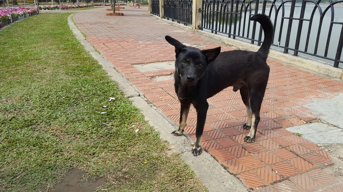 997F19335A02A91C106C8A