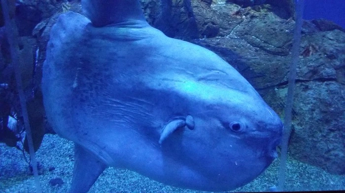 99A9F83359AE67400BFCBC