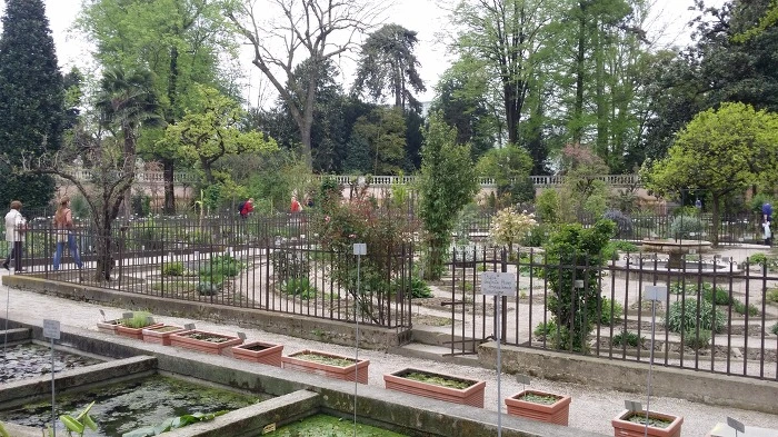 224438425784C49B362CEA