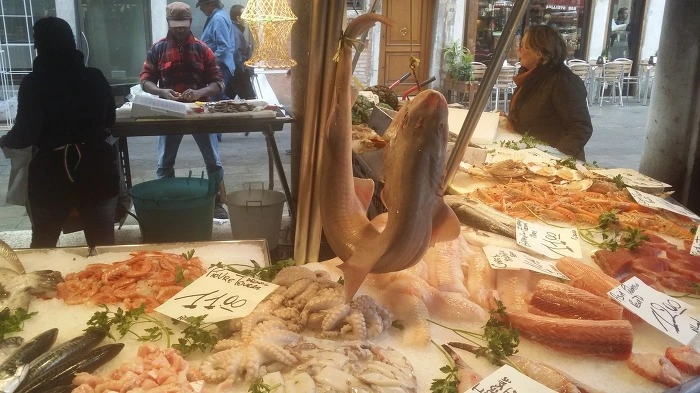 22339544575FC0F31A081A