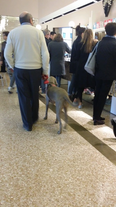 275870335784B55B122A31