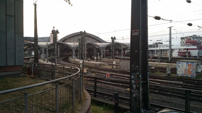 250F094E5969DD2F0BDD26