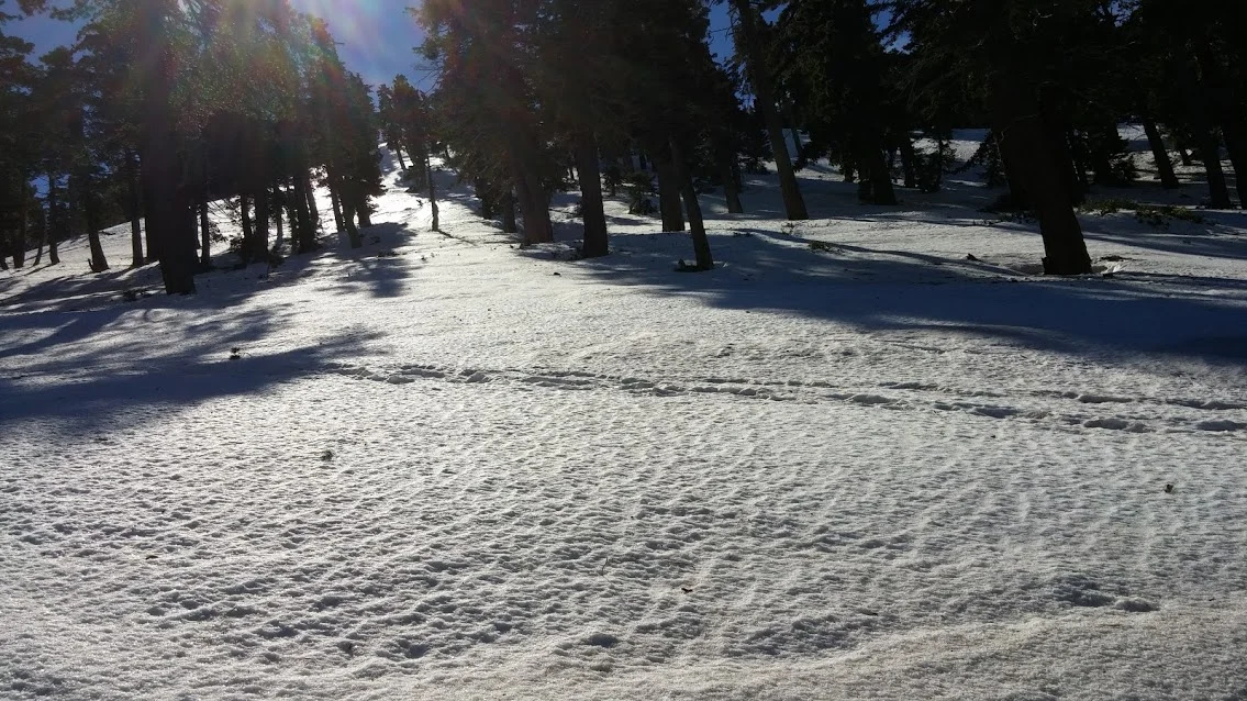 U7_tU-aKRxJ6a8xdjwfzCNjzVcgQq0EkuYhGDd5UDTeNOBaWVBB7Sar7s96g5rQbCC4q24auMBeyn7R4OCoHRToFzBds0FiQcv_uE1FO47yDx9ZBQx6y5gGSc4NmksKnd2sq35RyfsLlFcS427THJ85gPO_oNVR4KFRm7iXJUfQgMCQ8vxsvvDhQwQn_6-jEu5OMNCHkQ8bnfLR9s4RqiOxoWq85vRKzLoFiDOoJV7BjTUqmT8J9BFcWXSsJtFHYfPsIhqUBgxKGT1ZBUrxrJVS_Q1vHbavP66xJzqzt4cEKXo42ElwIHeBj-PZvyWAGHRs5PRSqOGZOTFq66exvB9LlRUDVLHfgeNvIJFw68zlDJpPVQ1893uggcn_iJrohxRcKOyRfsjwaIJkPqOaIWj_rSQsmwyA55b32LUrStb2Hw_xHNVx1EkZ9rpmPNcacv_E3EQQ8KBNuZKSkcsb7W9llUqqs4byp0bqZtMOSeySD-kgXGdt3d4v8AtnW1n5E9M7Tla-M7P2OaSek63yZfhus8HdHBZPeSkJPtXbBCdNjvkA2PlVXIrqAo7ONJhsmN3lKDiBfvoTWaEBQ_12xIUKmxZuWhIFKeTw4iJHg45o2BmHe=w1135-h638-no