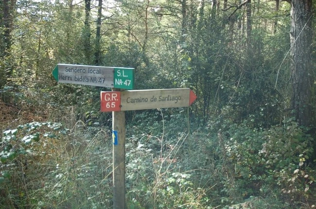 DSC_6173.JPG?type=w2