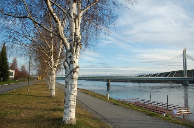 DSC_5866.JPG?type=w2