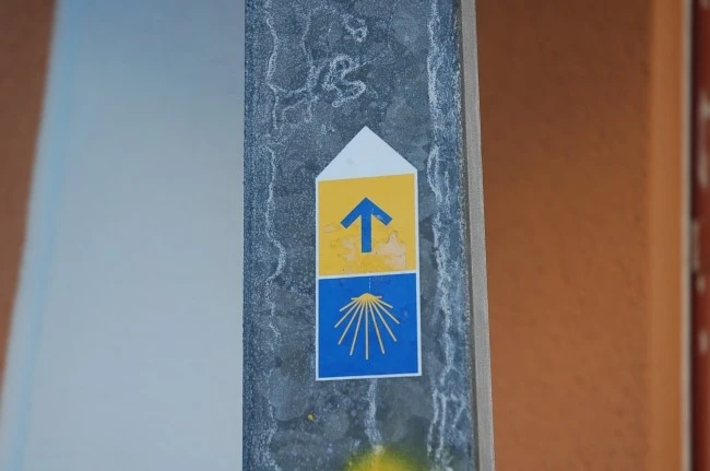 DSC_6352.JPG?type=w2