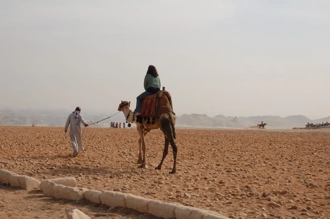 DSC_6879.JPG?type=w2