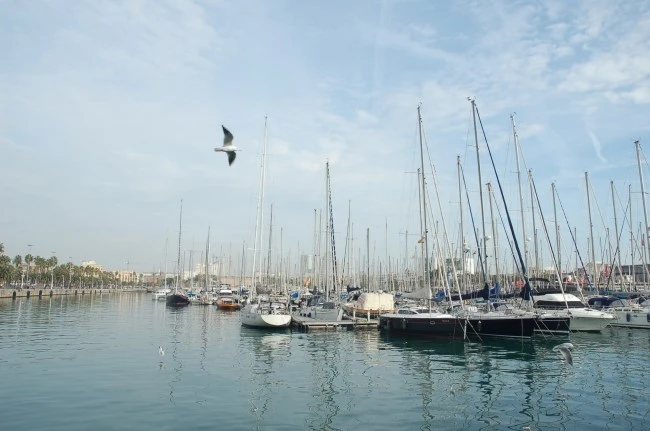 DSC_6528.JPG?type=w2