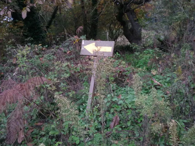 2012-11-15_09.45.59.jpg?type=w2