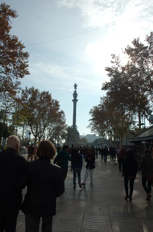 DSC_6521.JPG?type=w2