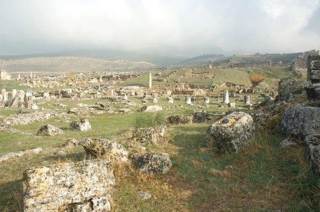 DSC_7266.JPG?type=w2