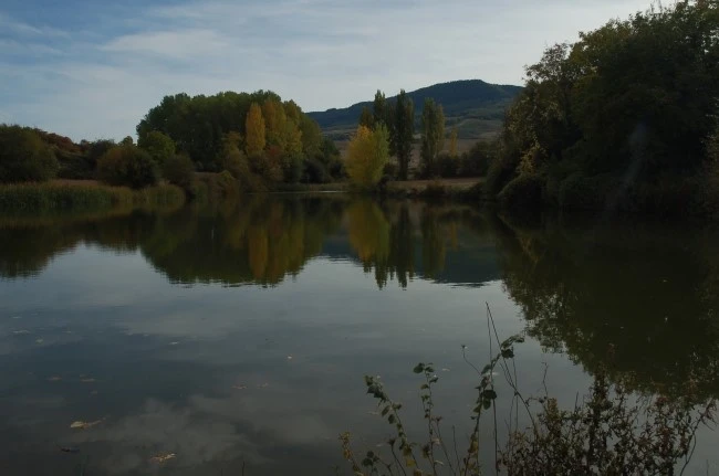 DSC_6204.JPG?type=w2