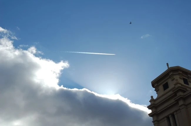 DSC_6234.JPG?type=w2