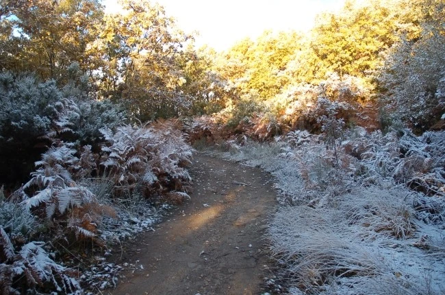 DSC_6276.JPG?type=w2