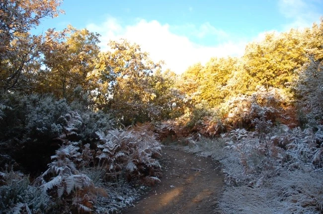 DSC_6277.JPG?type=w2