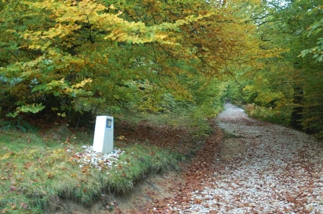 DSC_6163.JPG?type=w2