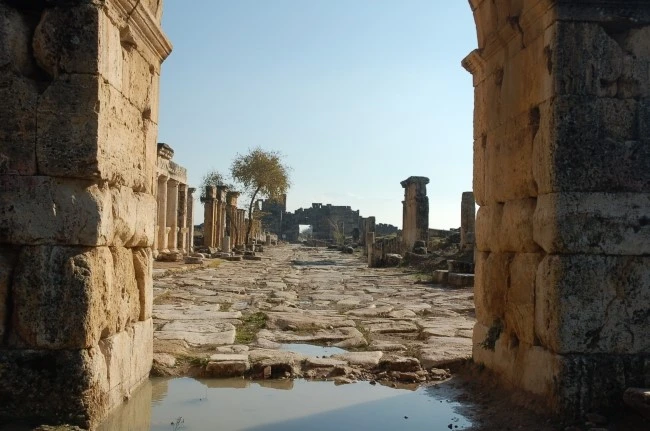 DSC_7292.JPG?type=w2