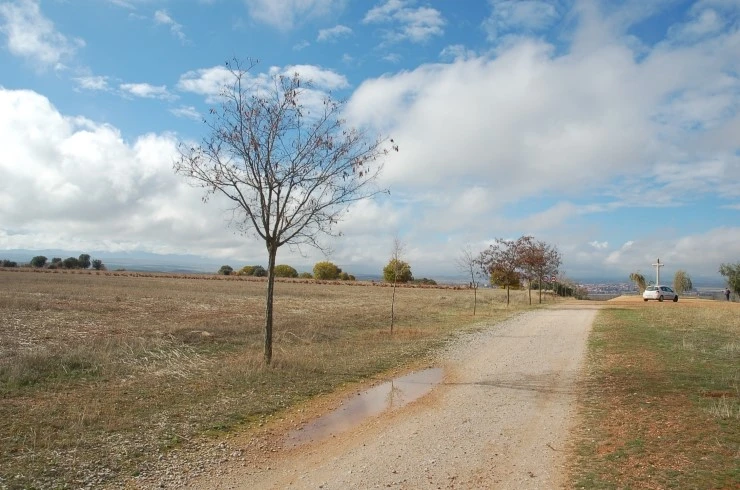 DSC_6262.JPG?type=w2